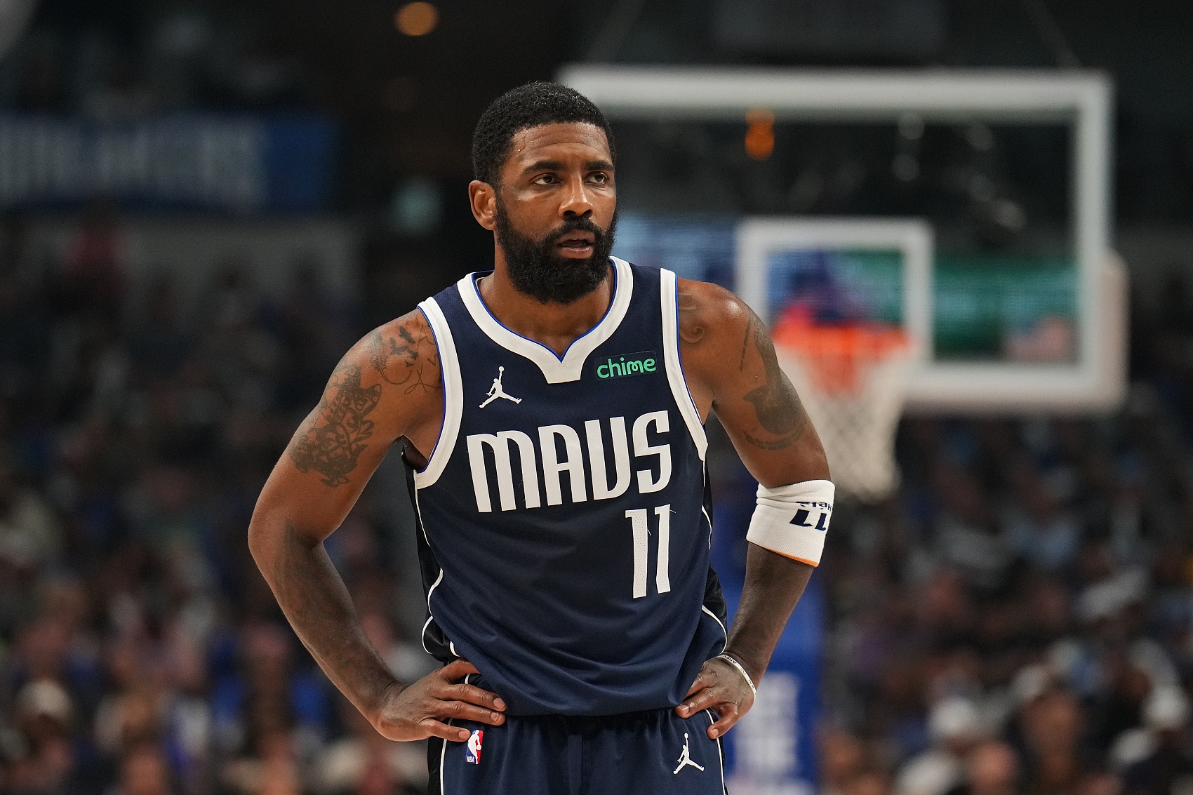 布兰特的赛 布兰特的赛